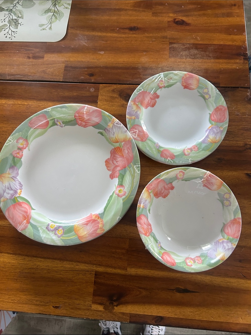 New! Vintage Arcopel France Fantasy Tulip Garden Ceramic Dinnerware Set RARE